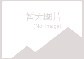 东平县山柏银行有限公司